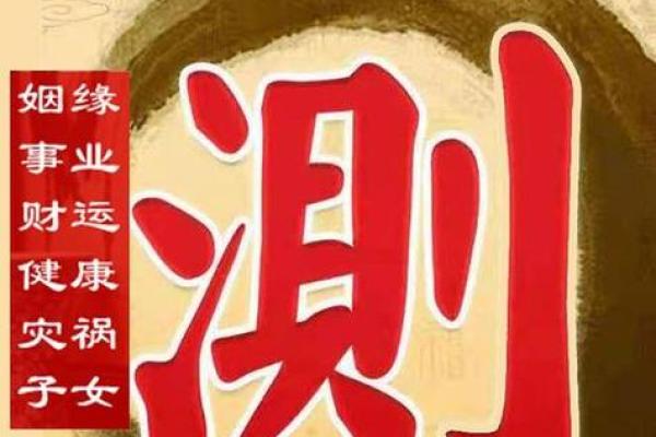 王成龙八字详批：命运早知道，事业财运健康，婚姻家庭全解析