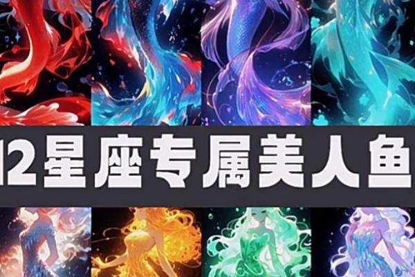 12星座最喜欢哪个女偶像