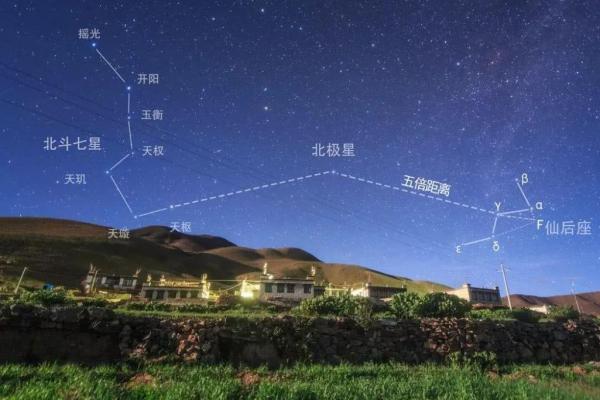 北斗星和紫薇星的区别是什么意思啊