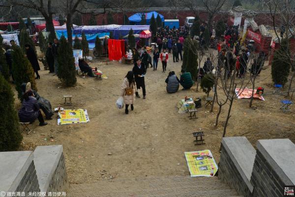 庙会算命2024