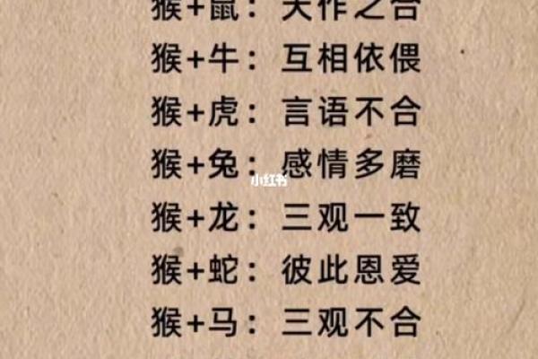 十二生肖算命婚姻配对准吗