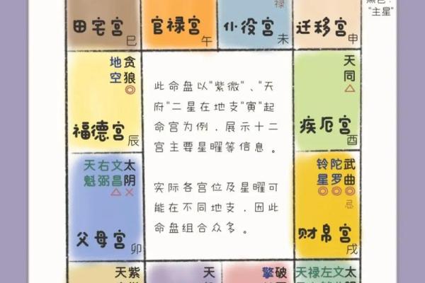 紫薇斗数看身高体型
