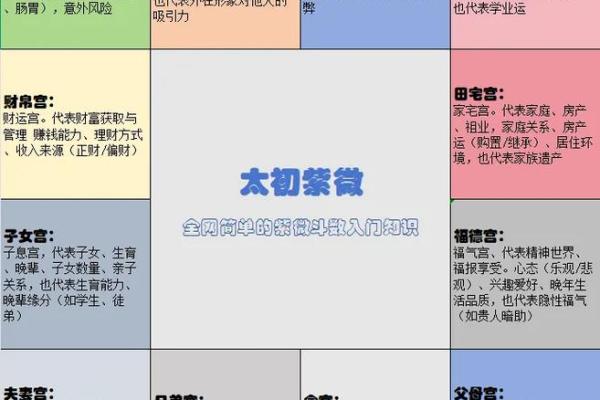 紫薇斗数和职业
