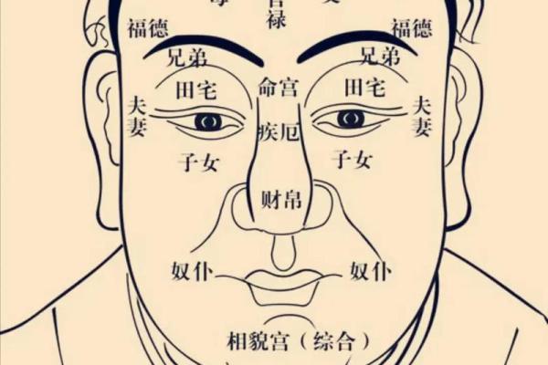 紫微斗数打牌方位 紫微斗数口诀排盘方法步骤？