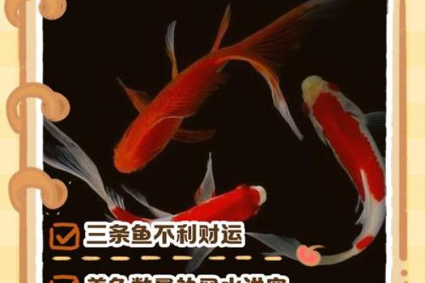 家庭中养鱼，要注意的风水详解