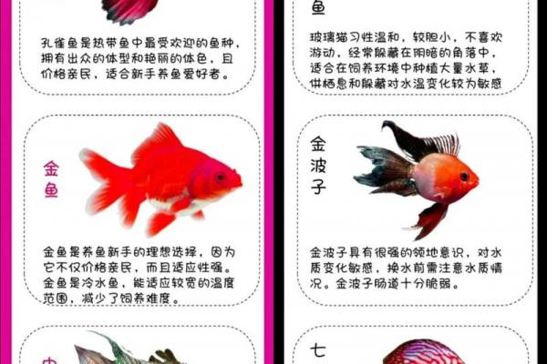 家庭中养鱼，要注意的风水详解