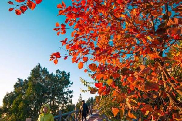 济南郎茂山附近有个算命的 济南郎茂山附近有个算命的