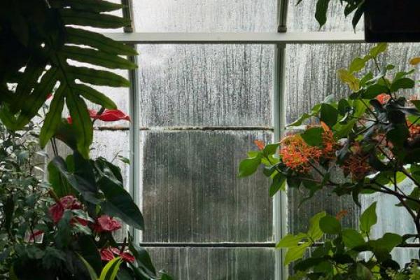 窗外花坛风水好吗 窗外花坛风水好吗