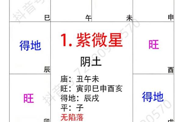 紫微开创型,紫微斗数四大类型