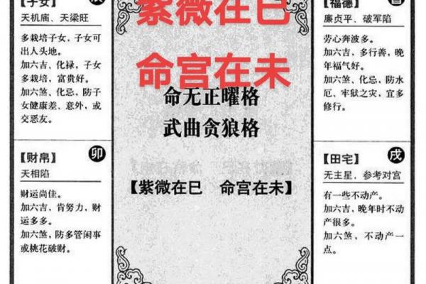 紫薇斗数命主星算