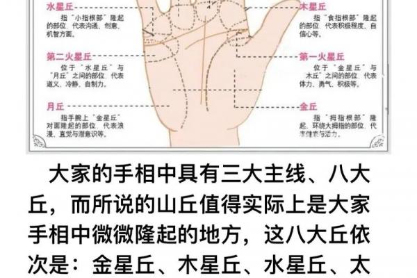 看手相算命:第一课 手相概论 看手相算命:第一课 手相概论