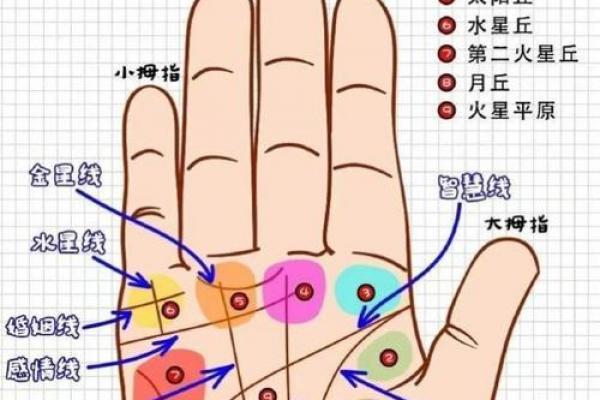 看手相算命:第一课 手相概论 看手相算命:第一课 手相概论