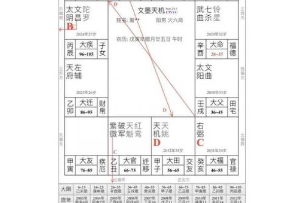 紫薇斗数男性篇 紫薇斗数男性篇