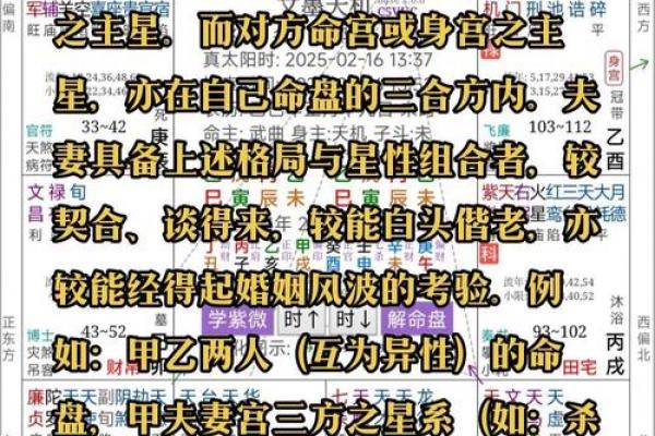 唐艺尹老师：紫薇斗数主星解释