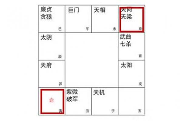 紫微排盘,科星逢破格命格详解 紫微排盘,科星逢破格命格详解