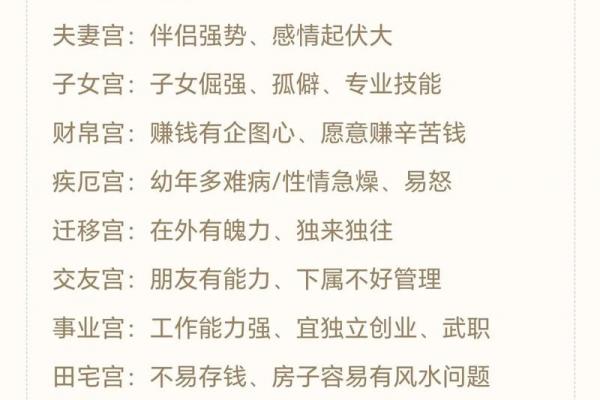 军师府紫薇斗数高级