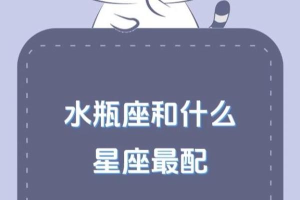 水瓶座和什么星座最合适当情侣的