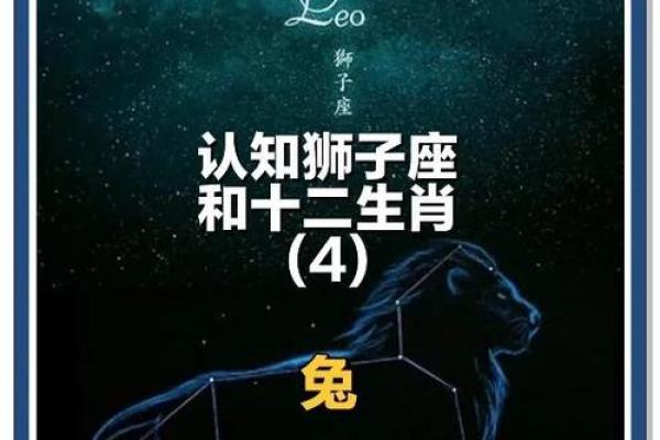 12星座最适合养的兔子是