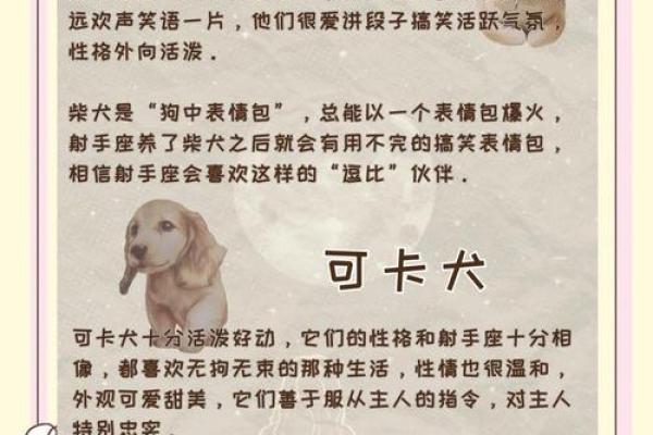 啥星座最适合养什么狗狗呢