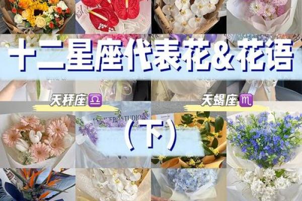 十二星座的守护花都有哪些呢