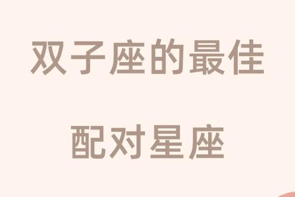 十二星座最适合养的宠物双子座