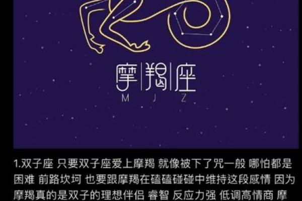 摩羯座最宠爱哪个星座