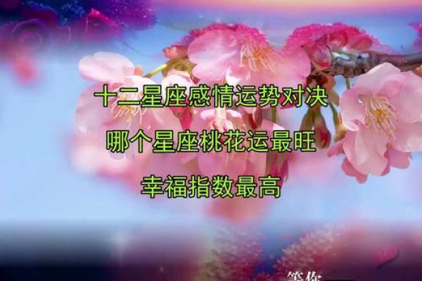 今年爱情运势逆袭的星座