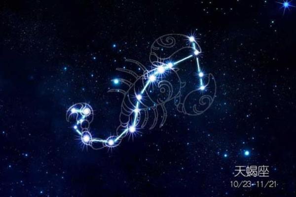 天蝎座和什么星座最适合做生意的