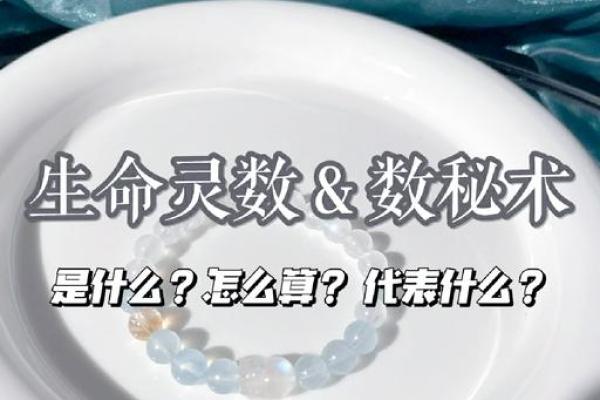 生命灵数星座数怎么算的
