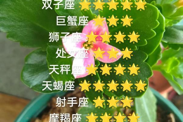 白羊座6月份星座运势怎么样