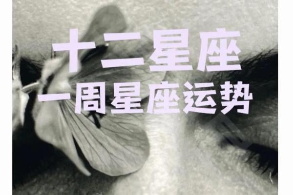 星座感情一周运势