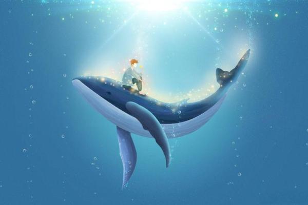 12星座喜欢哪种海洋动物