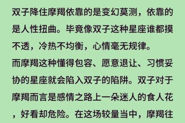摩羯适合和哪个星座在一起生活