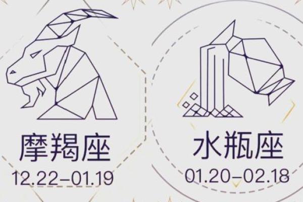 摩羯水瓶座适合和哪个星座谈恋爱男